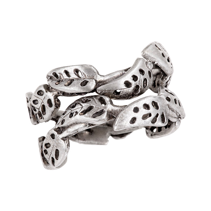 Anillo Monstera Adansonni