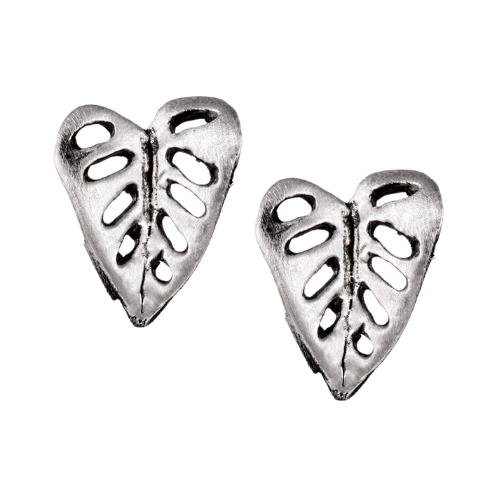 Arete Monstera Adansonii Mediano