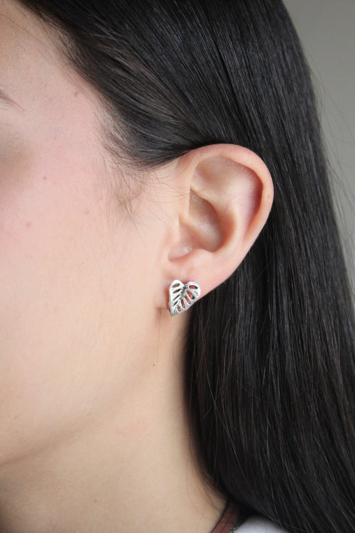 Arete Monstera Adansonii Chico