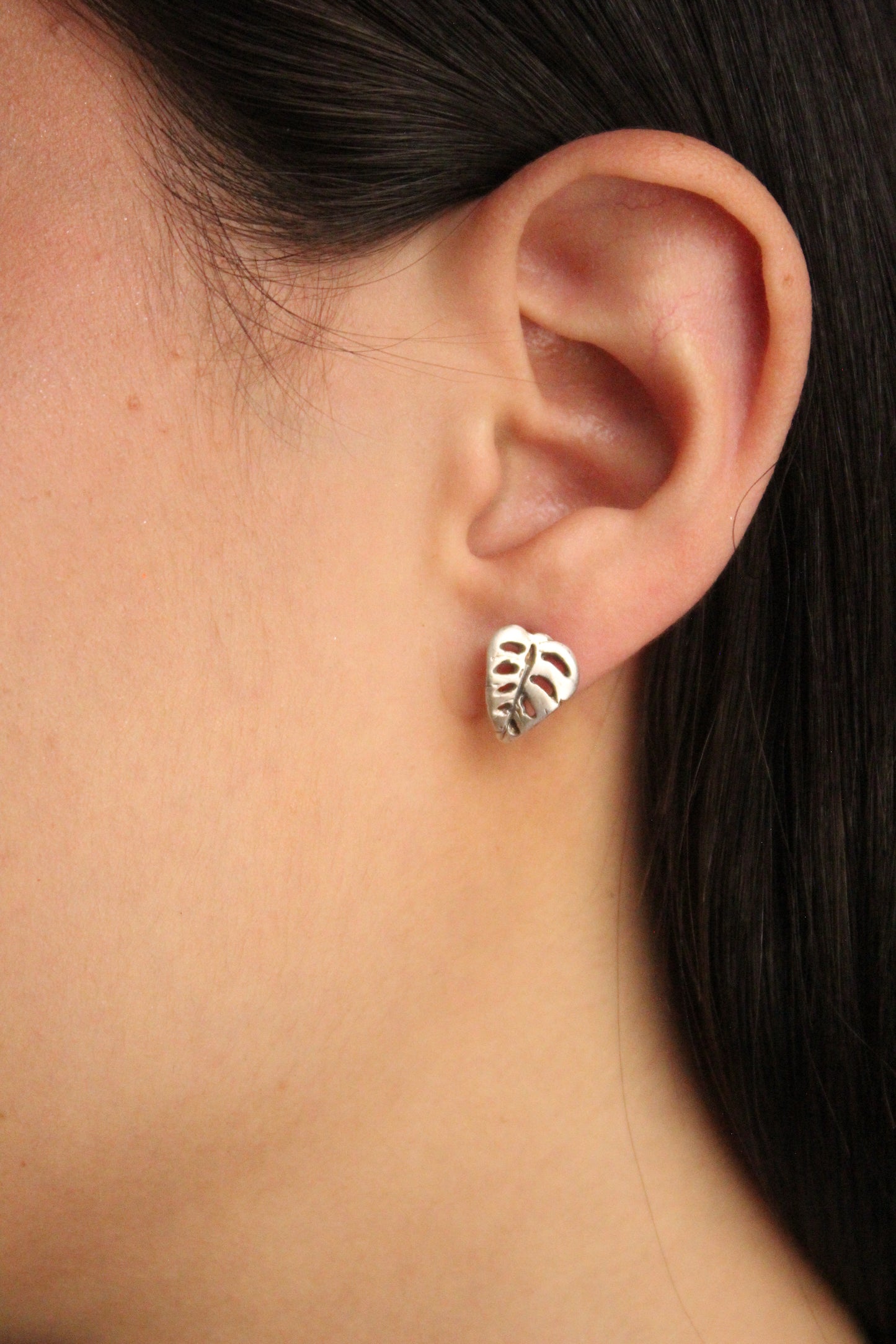 Arete Monstera Adansonii Mediano