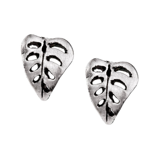 Arete Monstera Adansonii Chico